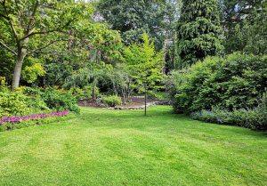 Optimiser l'expérience du jardin à Gignac-la-Nerthe